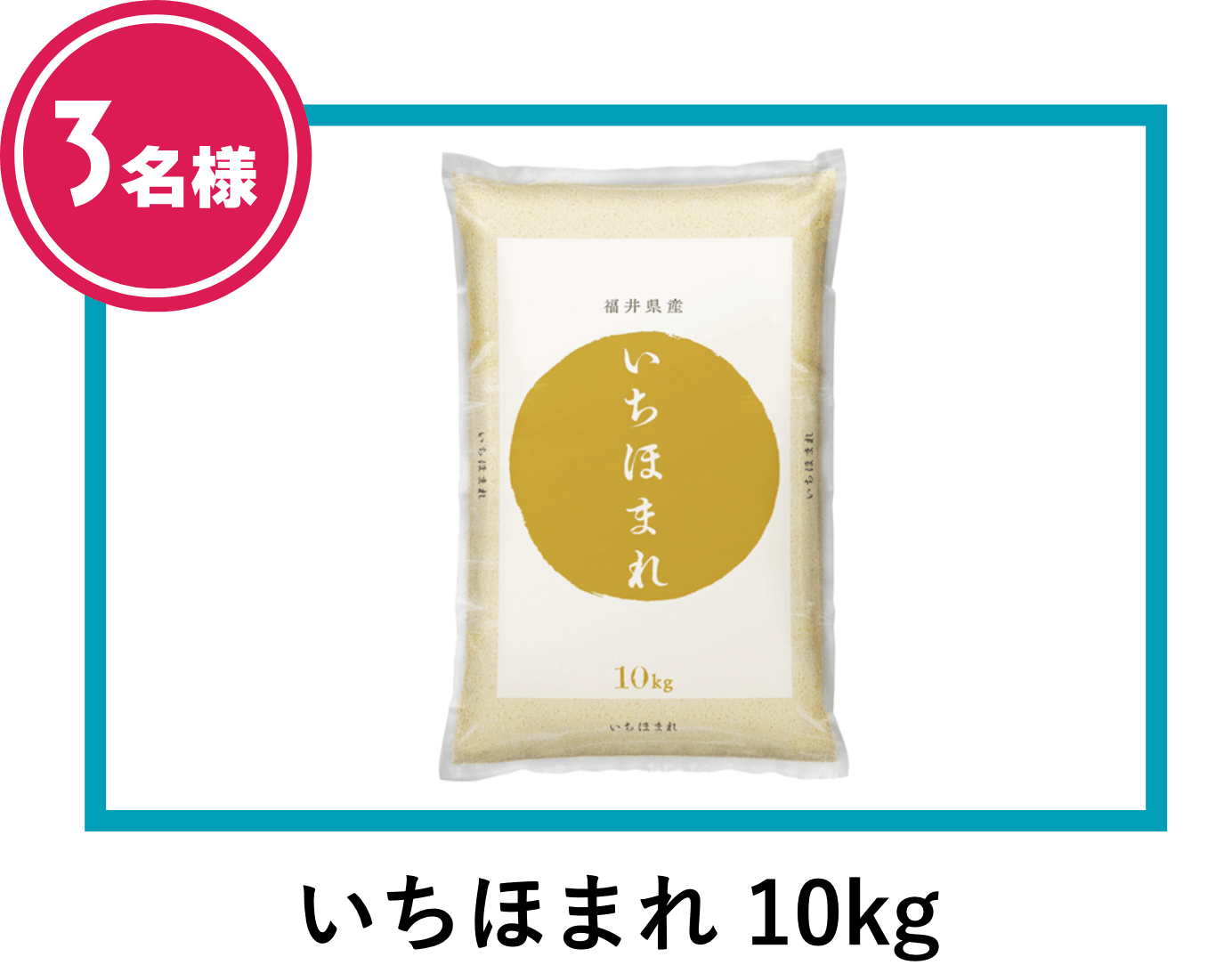 いちほまれ　10kg　3名様